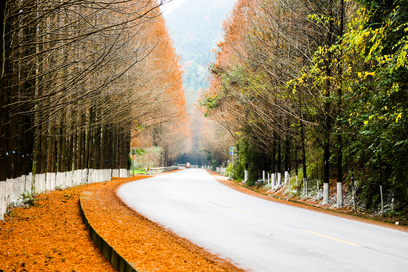 平輿縣高楊店鎮(zhèn)非貧困村通村道路及橋涵工程項目（二次）